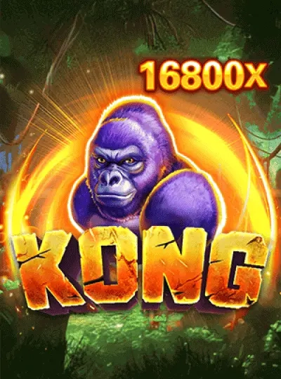 kc555 kc555